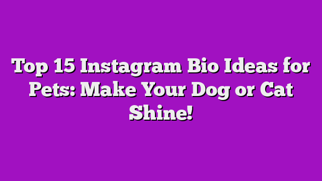 Top 15 Instagram Bio Ideas for Pets: Make Your Dog or Cat Shine!