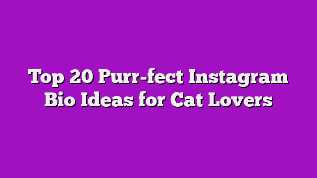 Top 20 Purr-fect Instagram Bio Ideas for Cat Lovers